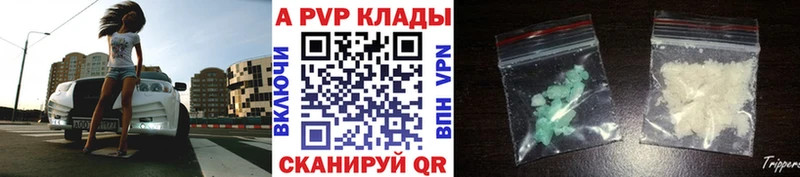 Купить закладки  Каргополь  Альфа ПВП СК КРИС 