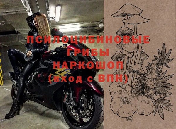 стафф Заводоуковск
