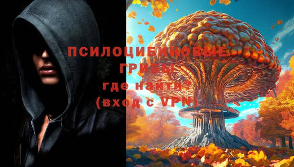 стафф Заводоуковск