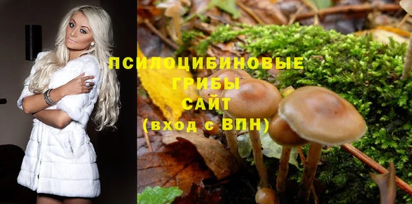 spice Заволжье