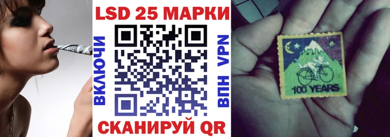 Наркотические марки 1,5мг  Купить закладки  Каргополь 