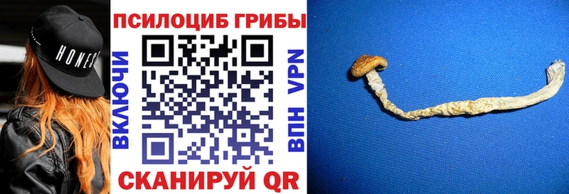Галлюциногенные грибы GOLDEN TEACHER  Купить  Каргополь 